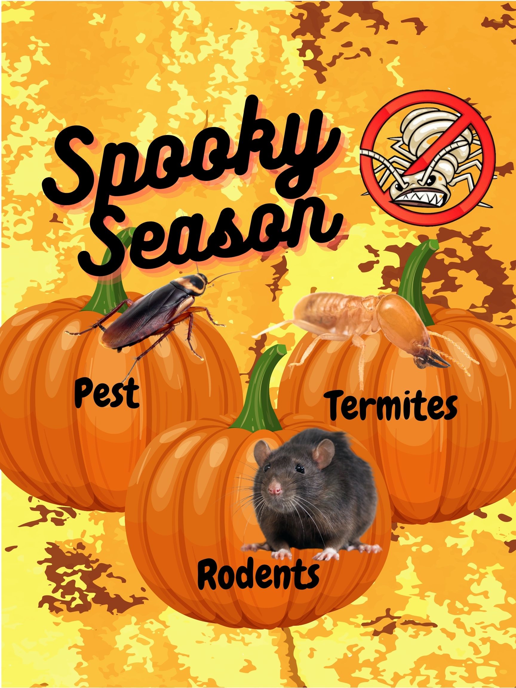 Spooky (1) – Al's Pest Control Service, Inc.